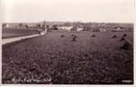 Across the Field from Acol Hill 1930's
